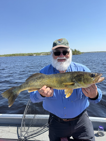 Walleye