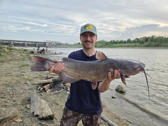 Channel Catfish