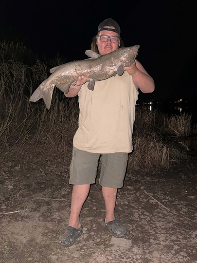 Channel Catfish