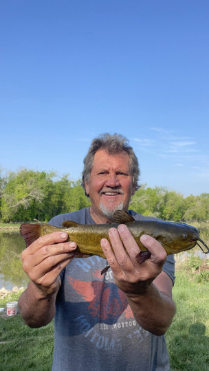 Bullhead