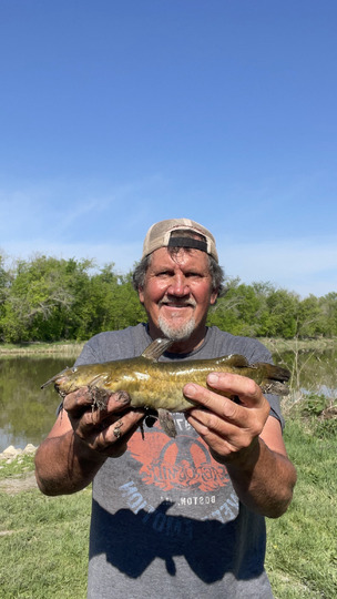 Bullhead