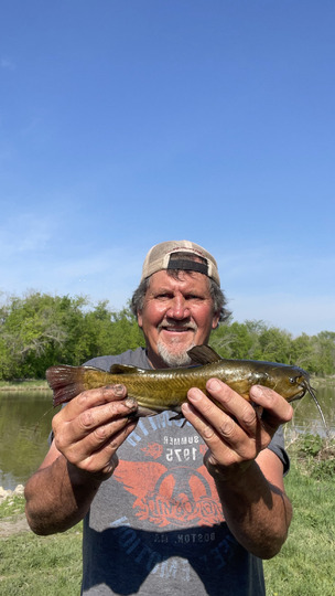Bullhead