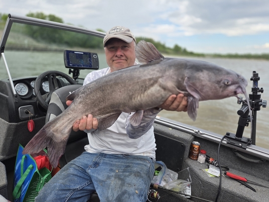 Channel Catfish