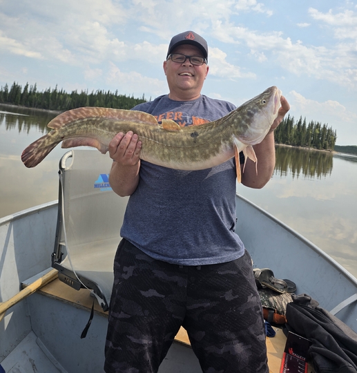 Burbot