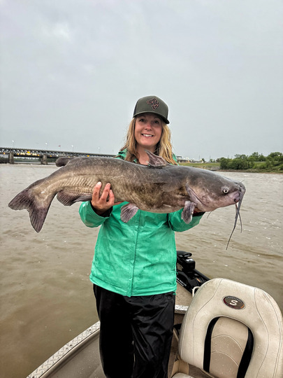 Channel Catfish