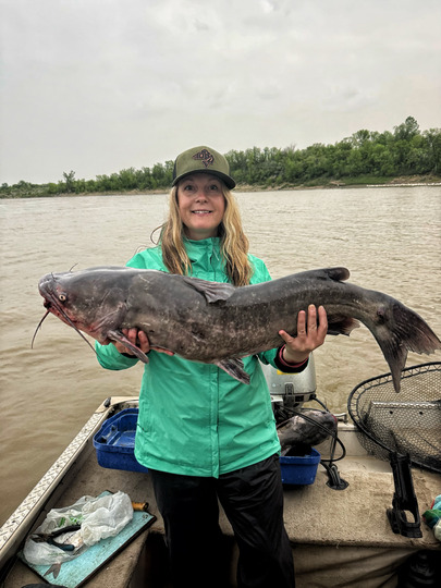 Channel Catfish