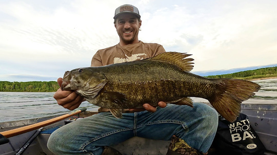 Smallmouth Bass