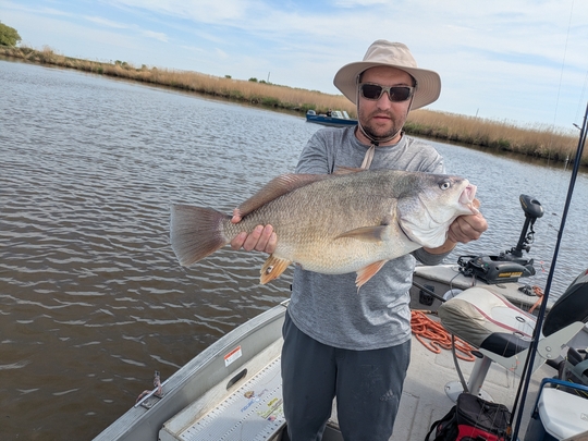 Freshwater Drum