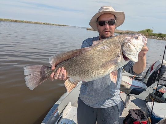 Freshwater Drum