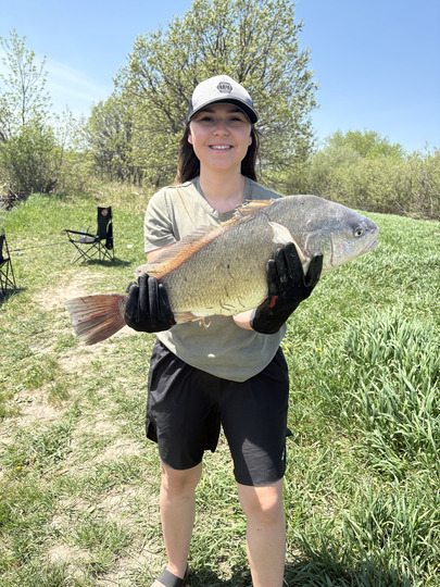 Freshwater Drum