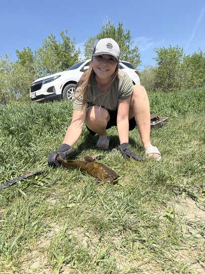 Bullhead