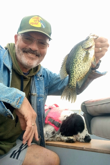 Black Crappie