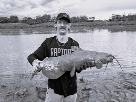 Channel Catfish