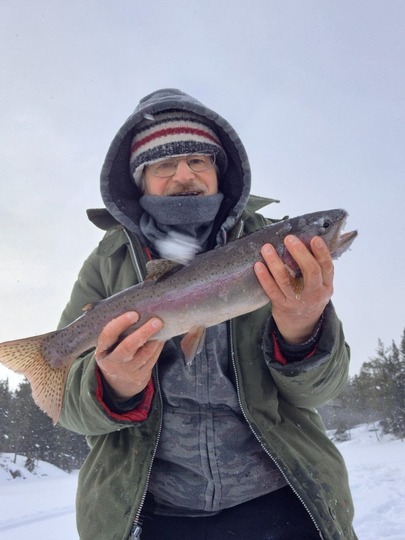 Rainbow Trout