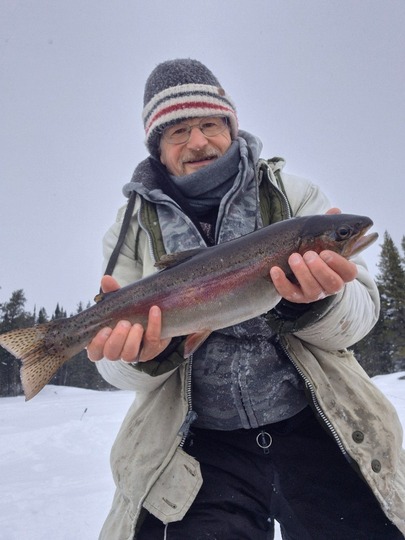 Rainbow Trout