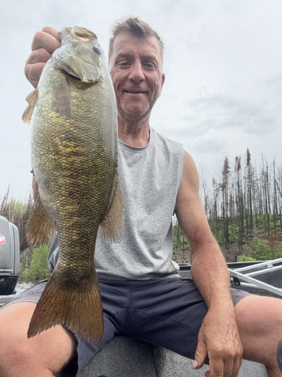 Smallmouth Bass
