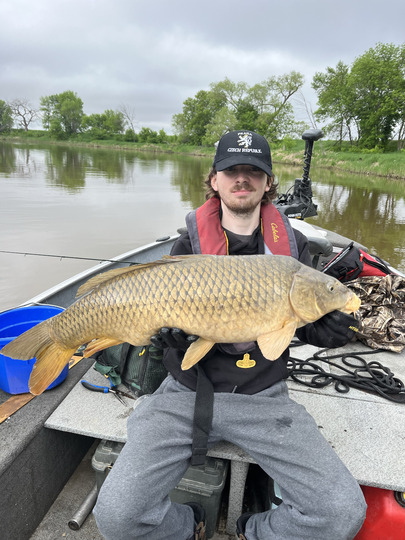 Common Carp