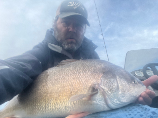 Freshwater Drum