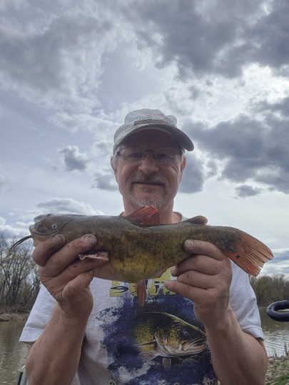 Bullhead