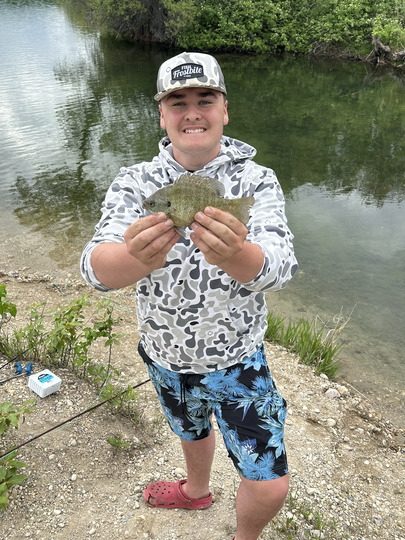 Sunfish