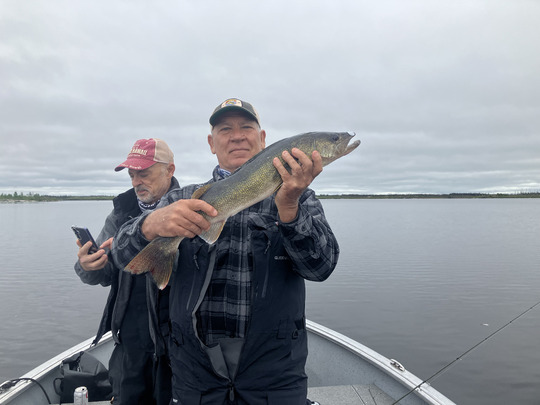 Walleye