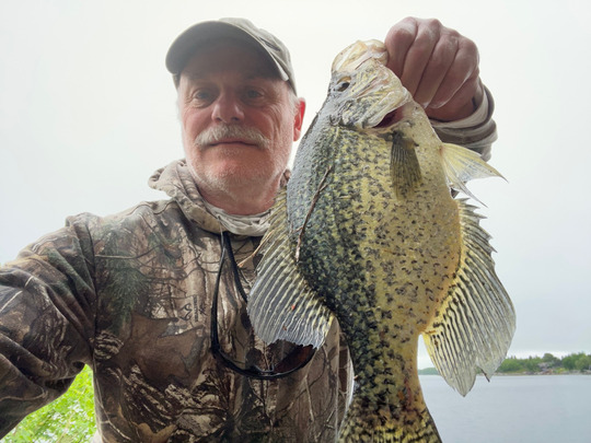 Black Crappie