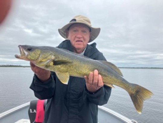 Walleye