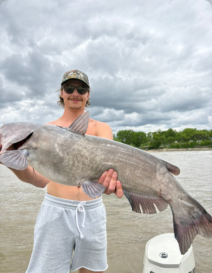 Channel Catfish