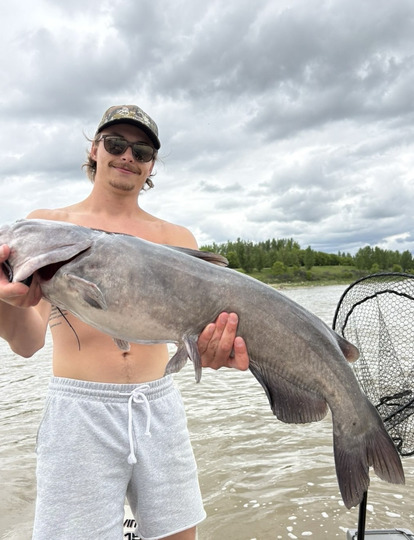 Channel Catfish