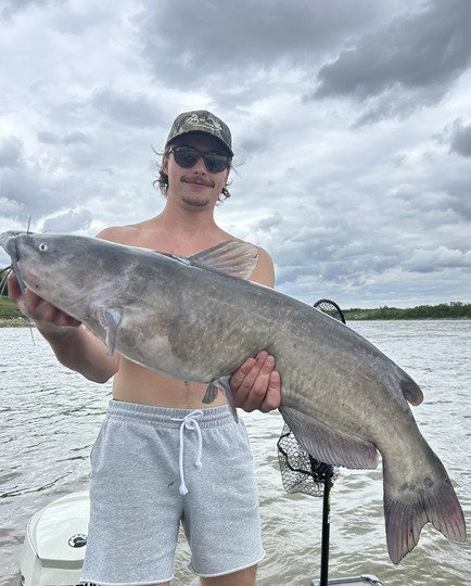 Channel Catfish