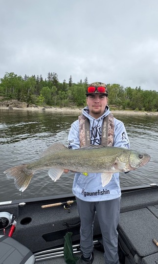 Walleye