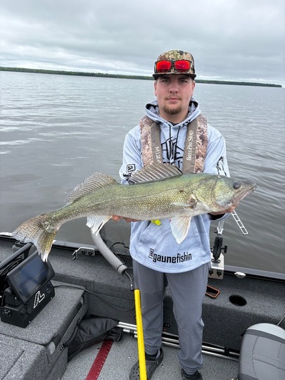 Walleye