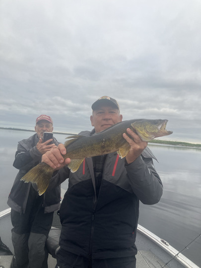 Walleye