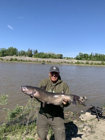 Channel Catfish