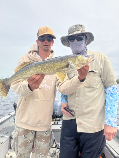 Walleye
