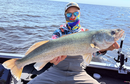 Walleye