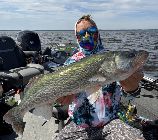 Walleye