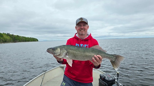 Walleye