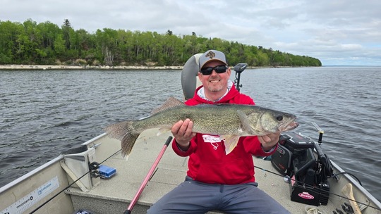 Walleye