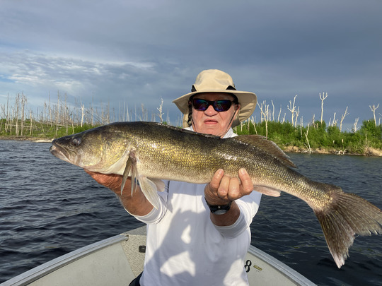 Walleye
