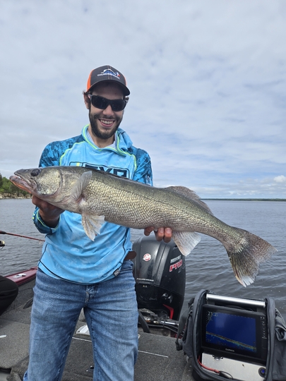 Walleye