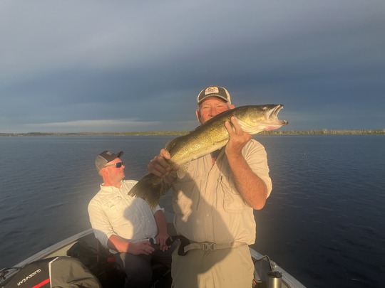 Walleye