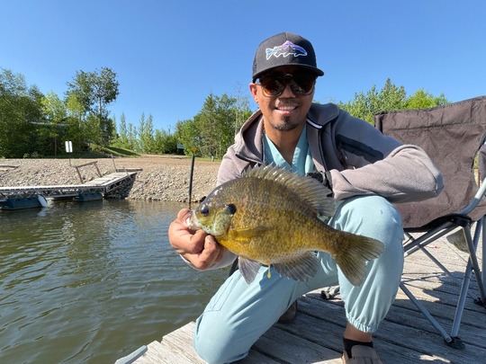 Sunfish