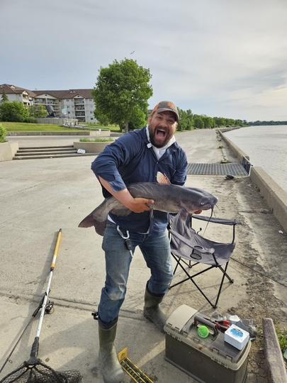 Channel Catfish