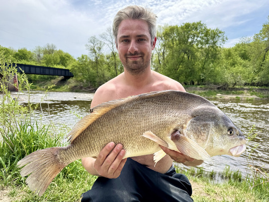 Freshwater Drum