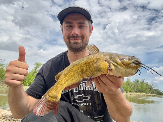 Bullhead