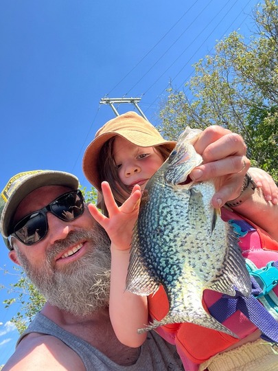 Black Crappie