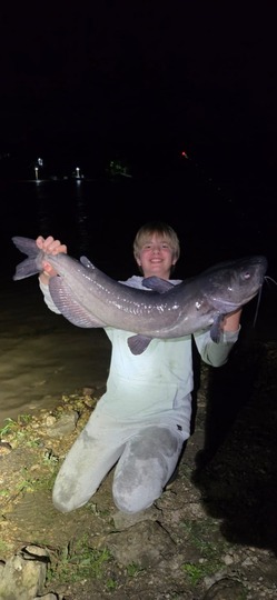 Channel Catfish