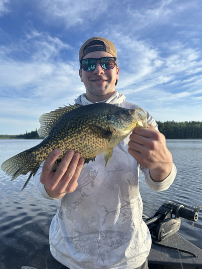 Black Crappie