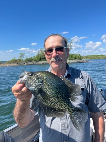 Black Crappie